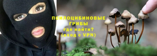 молекула духа Валдай