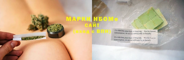 a pvp Новозыбков