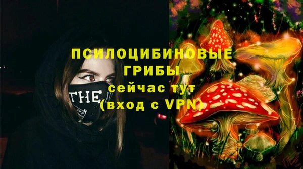 PSILOCYBIN Волосово