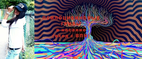 a pvp Новозыбков