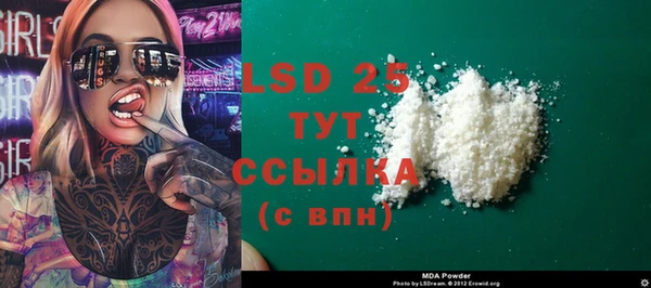 PSILOCYBIN Волосово